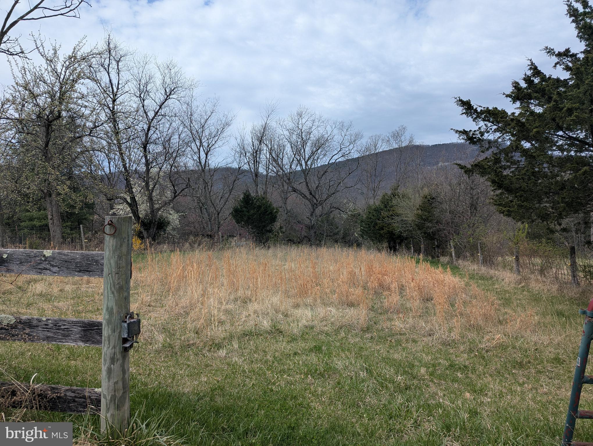 165 Wilson Burke Road Front Royal, VA 22630 - Photo 11 of 13 Professional photos coming soon