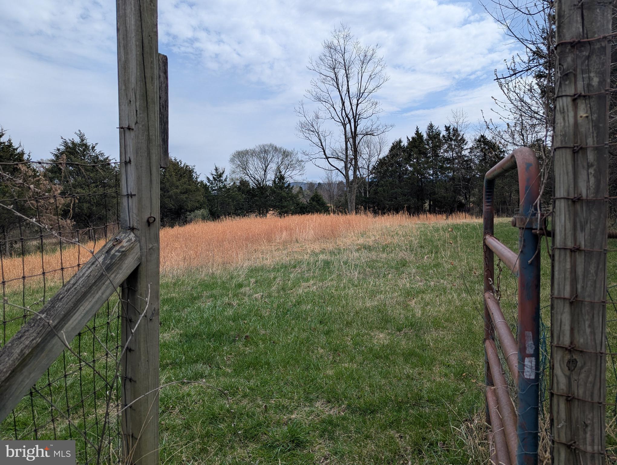 165 Wilson Burke Road Front Royal, VA 22630 - Photo 12 of 13 Professional photos coming soon