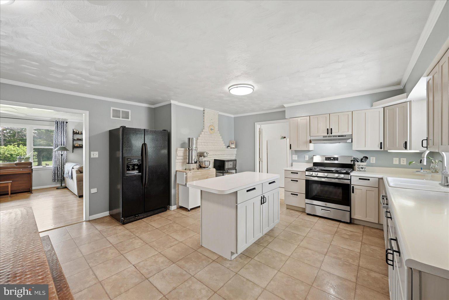 165 Wilson Burke Road Front Royal, VA 22630 - Photo 15 of 134 Main Kitchen