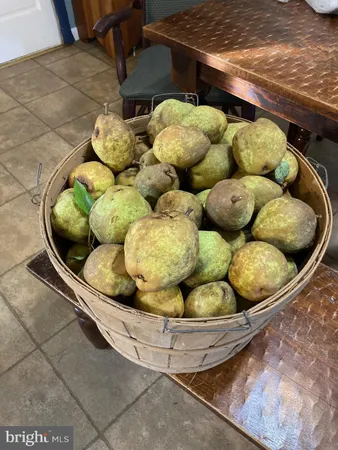 $960,000 | 165 Wilson Burke Road, Front Royal, VA 22630