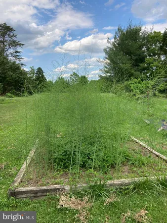 $960,000 | 165 Wilson Burke Road, Front Royal, VA 22630