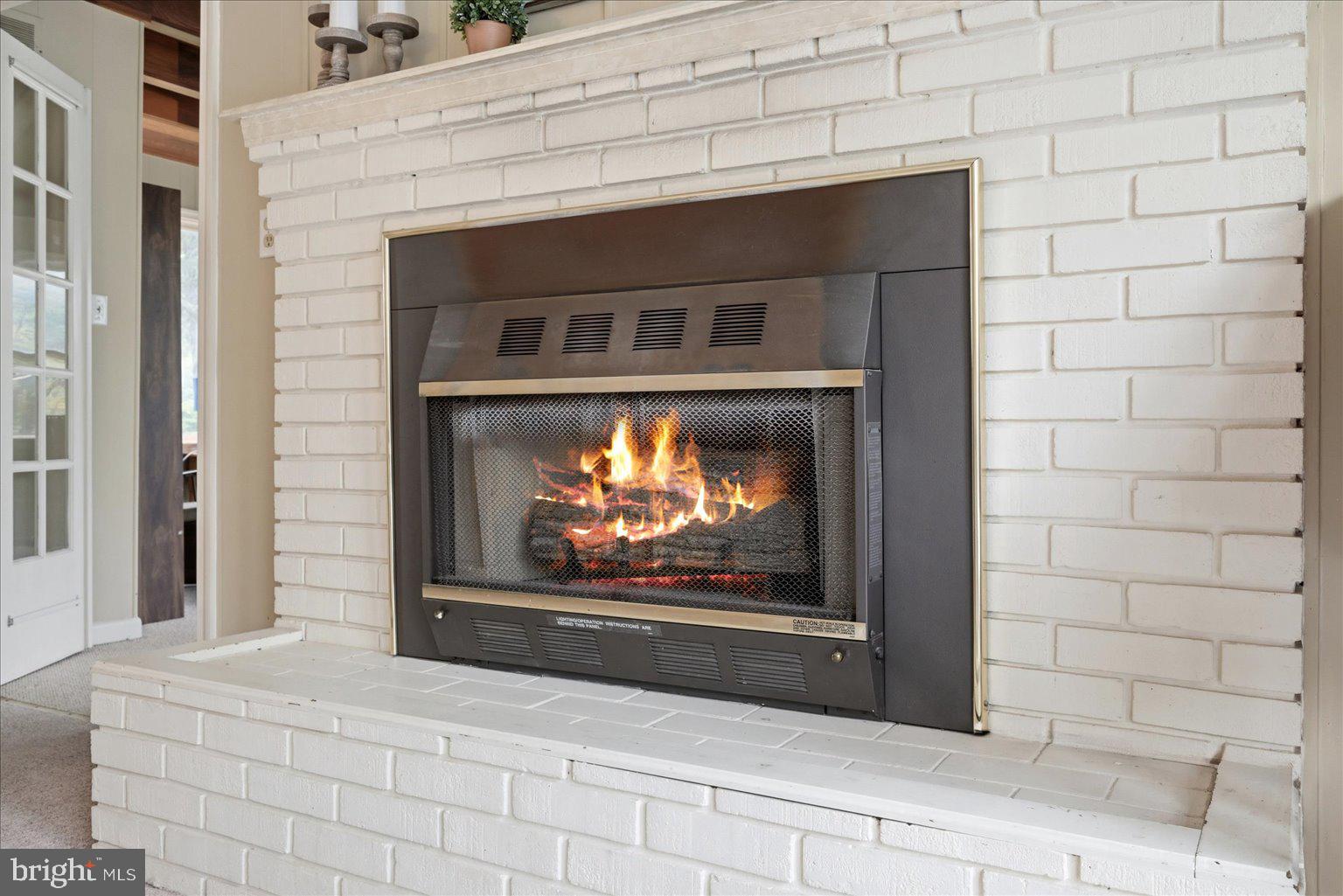 165 Wilson Burke Road Front Royal, VA 22630 - Photo 26 of 134 Propane Fireplace