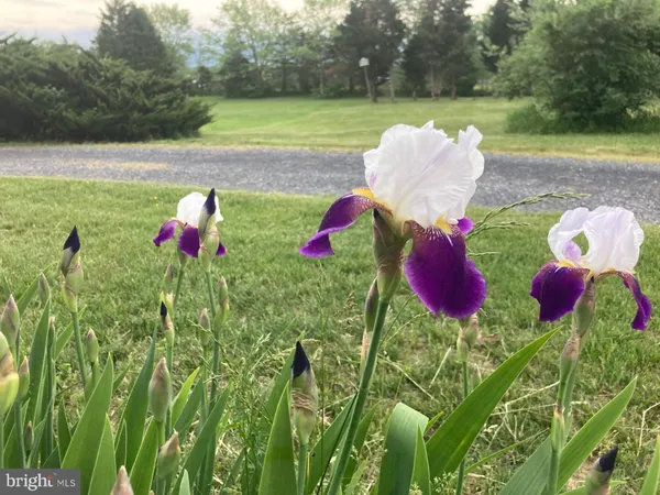 $960,000 | 165 Wilson Burke Road, Front Royal, VA 22630