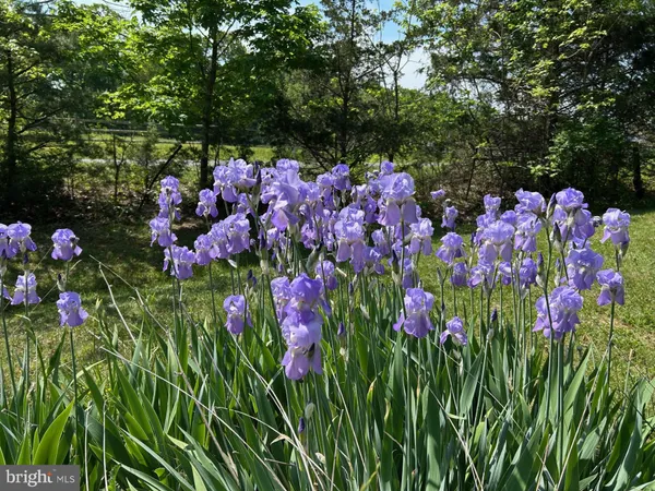 $960,000 | 165 Wilson Burke Road, Front Royal, VA 22630