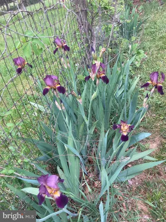 $960,000 | 165 Wilson Burke Road, Front Royal, VA 22630