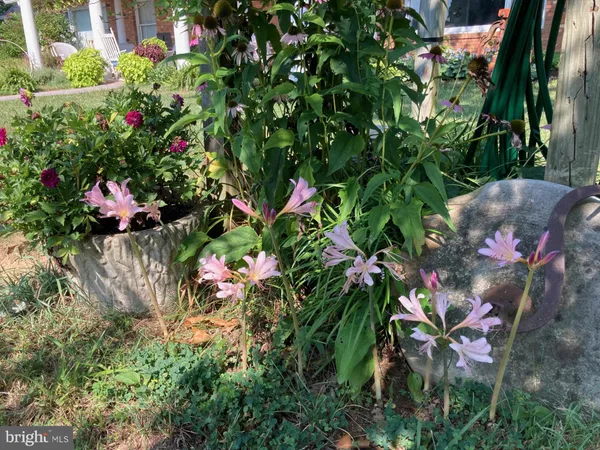 $960,000 | 165 Wilson Burke Road, Front Royal, VA 22630