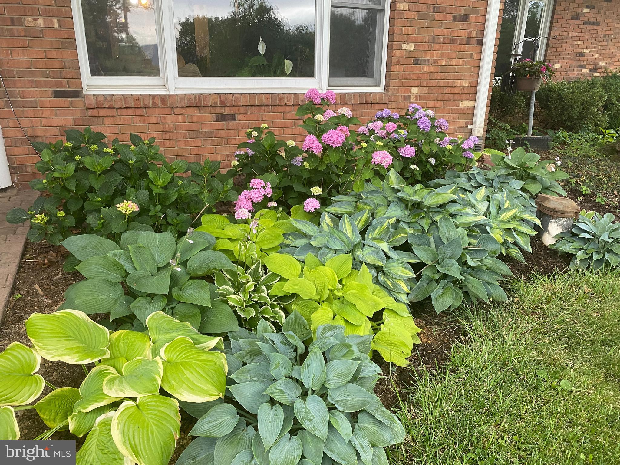 165 Wilson Burke Road Front Royal, VA 22630 - Photo 3 of 13 Professional photos coming soon