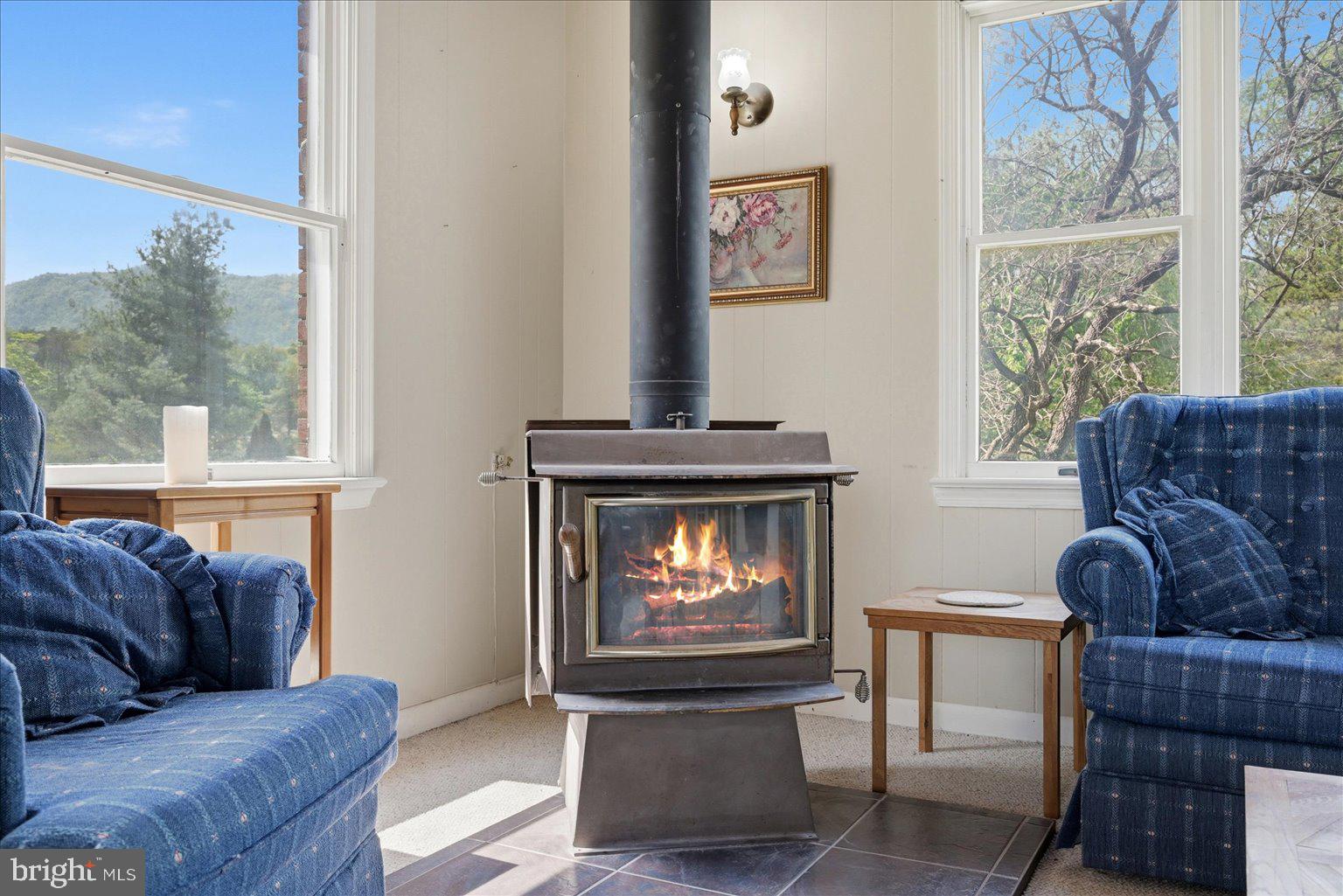 165 Wilson Burke Road Front Royal, VA 22630 - Photo 33 of 134 Wood Stove