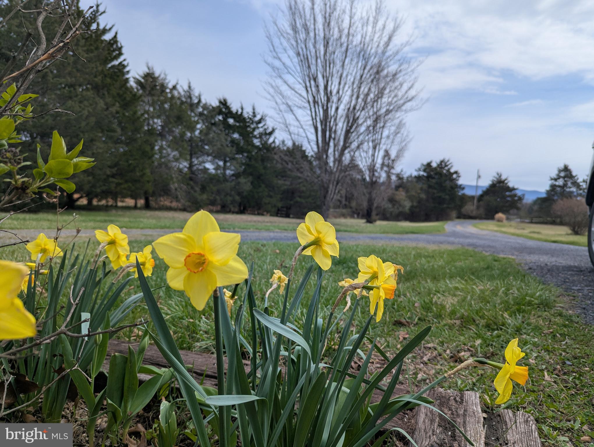 165 Wilson Burke Road Front Royal, VA 22630 - Photo 4 of 13 Professional photos coming soon