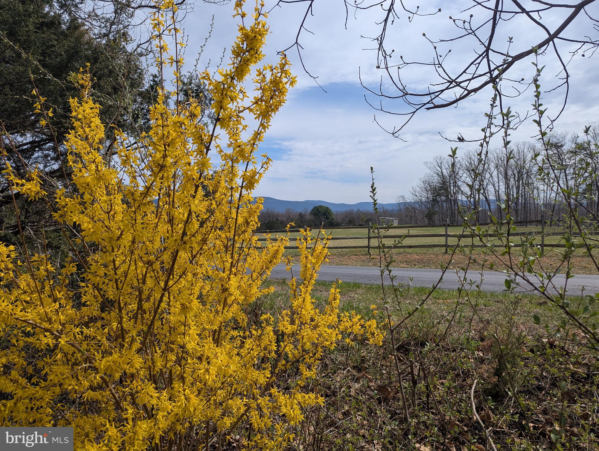 165 Wilson Burke Road Front Royal, VA 22630 - Photo 5 of 13 Professional photos coming soon