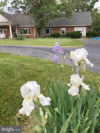 $960,000 | 165 Wilson Burke Road, Front Royal, VA 22630