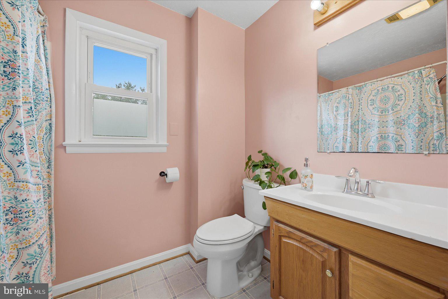 165 Wilson Burke Road Front Royal, VA 22630 - Photo 74 of 134 a bathroom with a sink a toilet and shower
