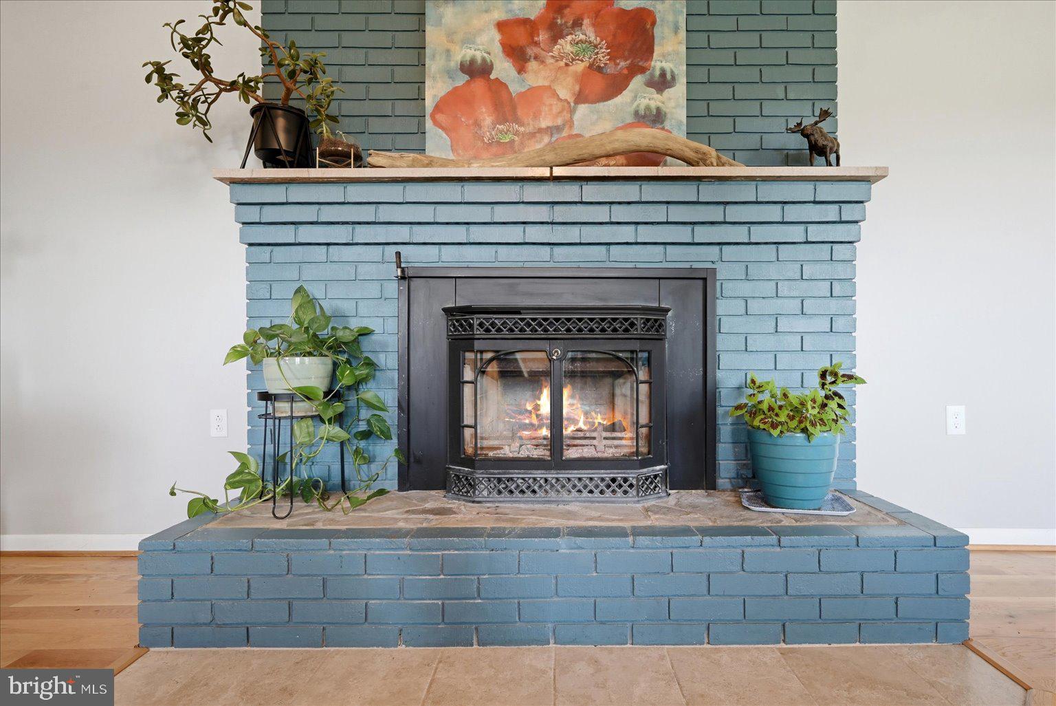 165 Wilson Burke Road Front Royal, VA 22630 - Photo 8 of 134 a living room with a fireplace and potted plant