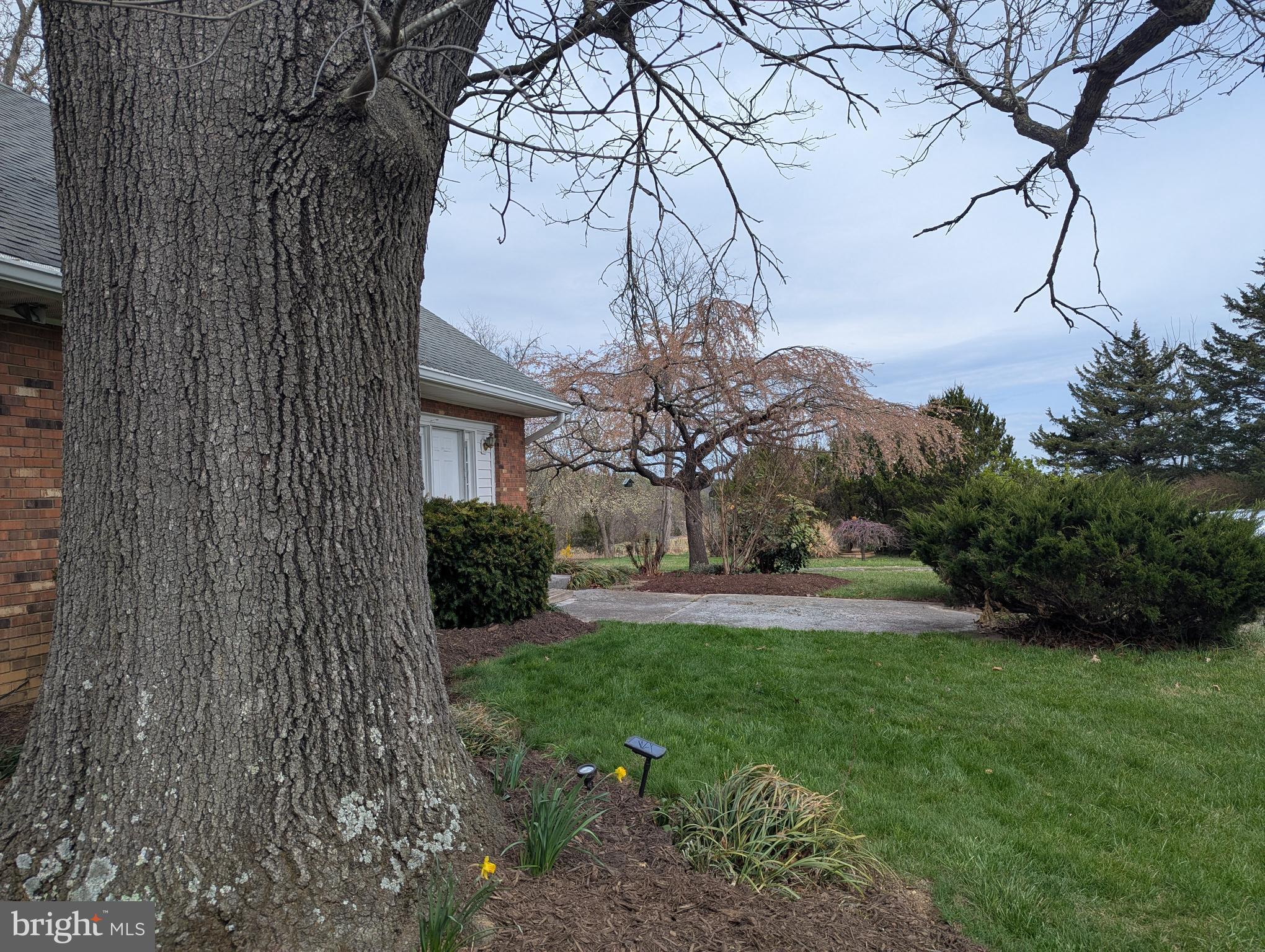 165 Wilson Burke Road Front Royal, VA 22630 - Photo 8 of 13 Professional photos coming soon