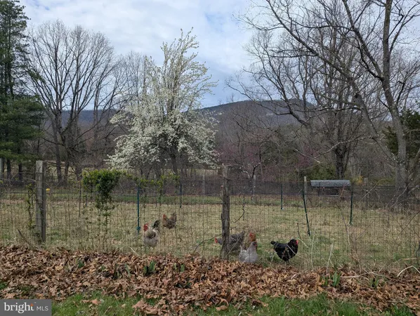 $960,000 | 165 Wilson Burke Road, Front Royal, VA 22630