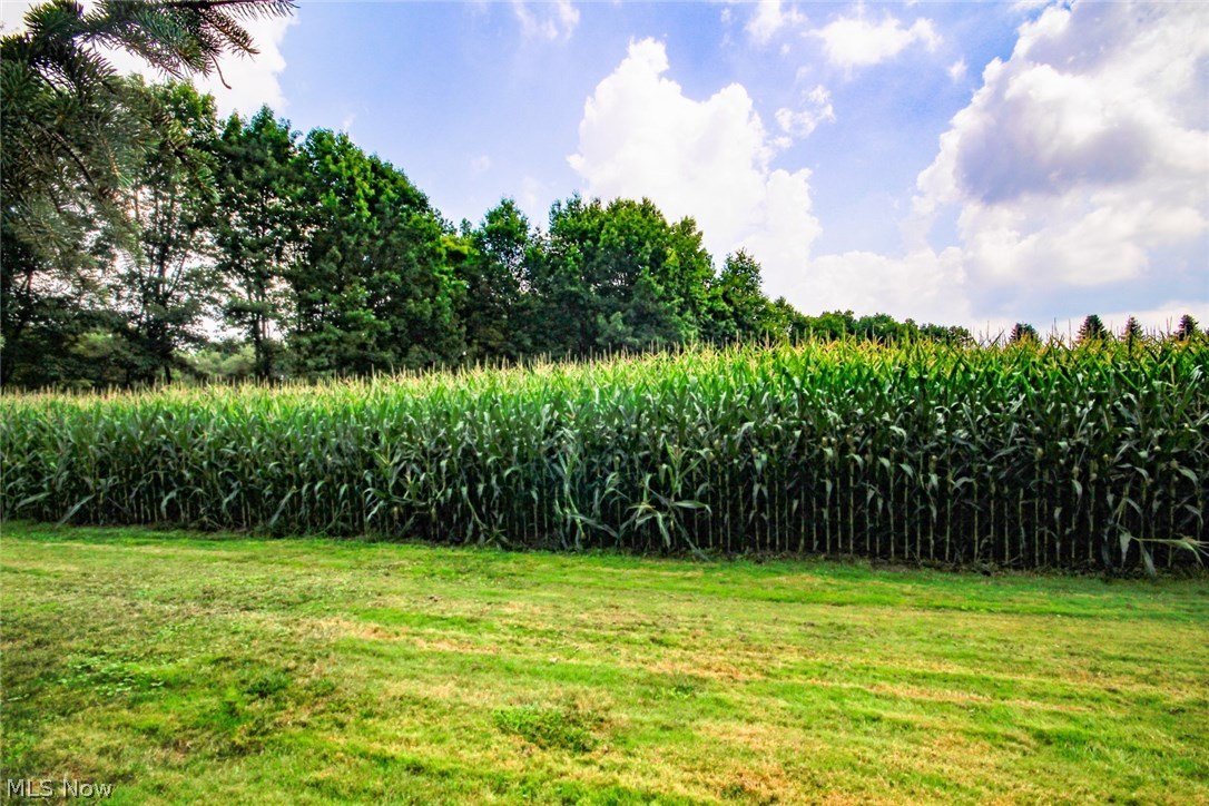 7115 Cool Road Canfield, OH 44406 - Photo 22 of 24 About 2.5 tillable acres.