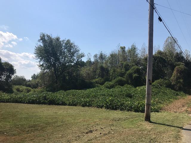 0 Adams Loop Tennessee Ridge, TN 37178 - Photo 1 of 5 Gallery Image 1