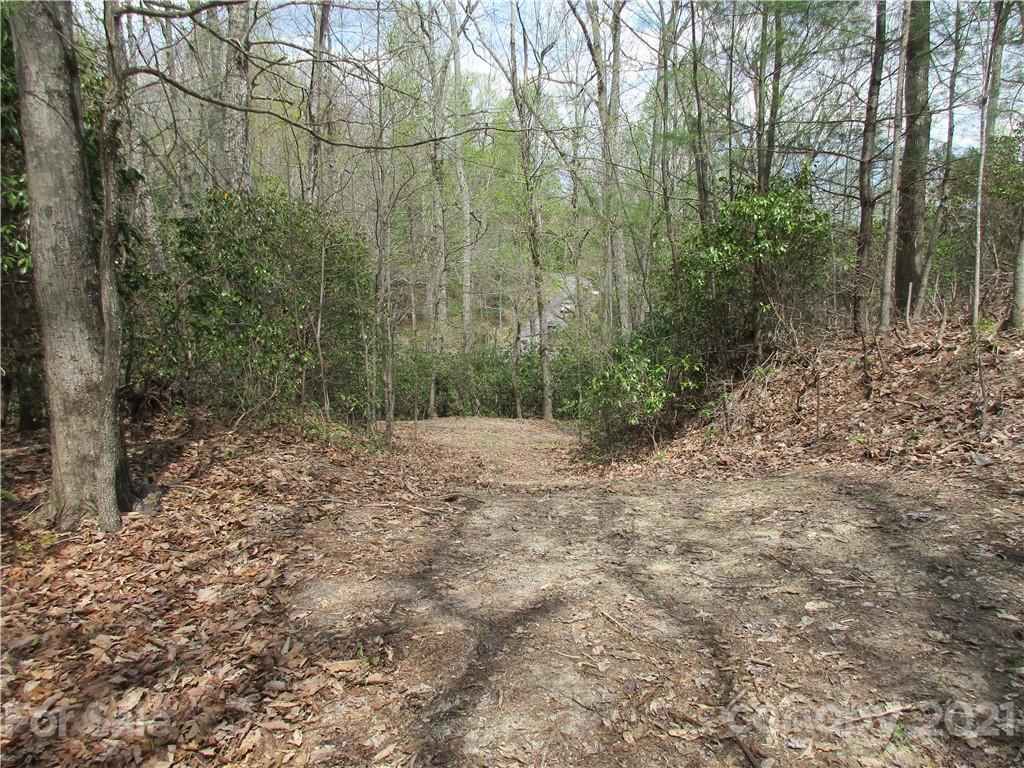 0 Sunny Ridge Road Hendersonville, NC 28739 - Photo 14 of 16 a view of a forest with trees