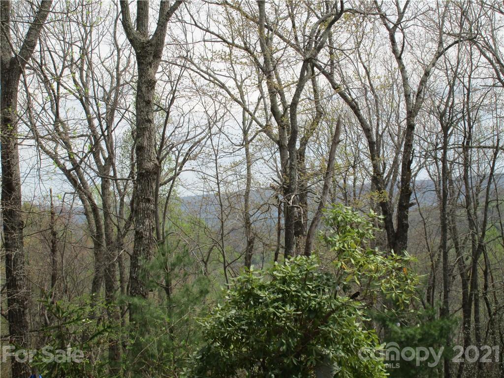 0 Sunny Ridge Road Hendersonville, NC 28739 - Photo 5 of 16 a view of forest