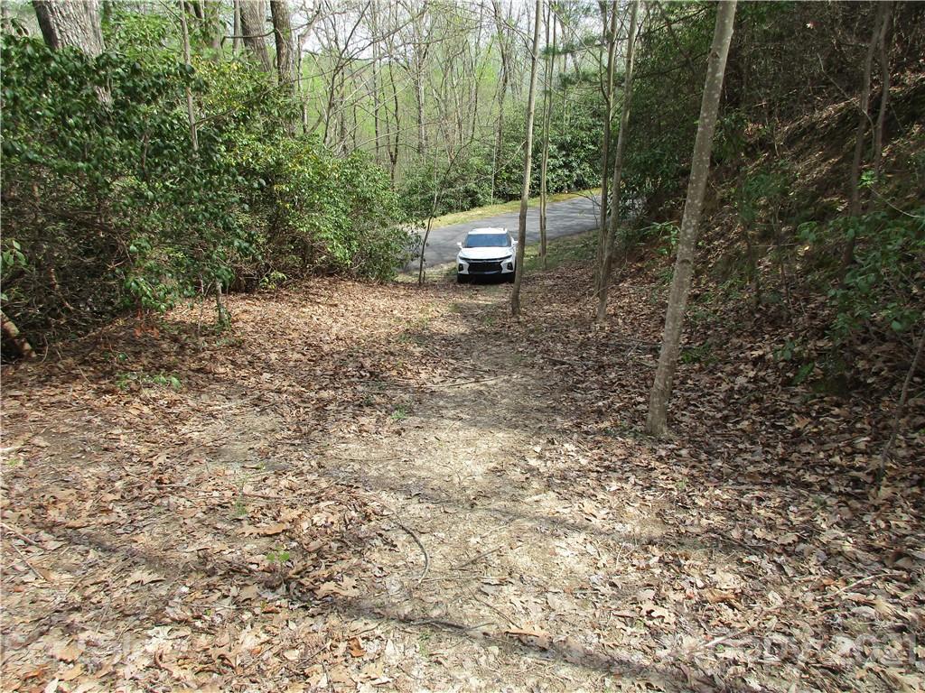 0 Sunny Ridge Road Hendersonville, NC 28739 - Photo 8 of 16 a view of a yard with a tree