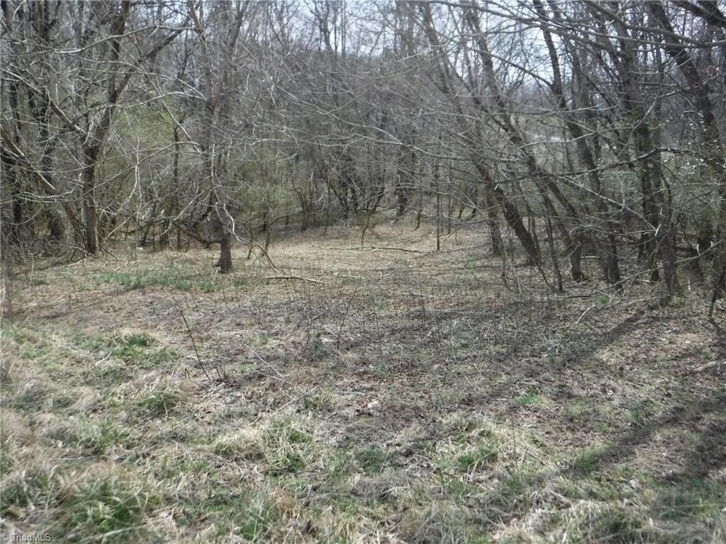 1226 Wilson Road Pilot Mountain, NC 27041 - Photo 14 of 14 Gallery Image 14