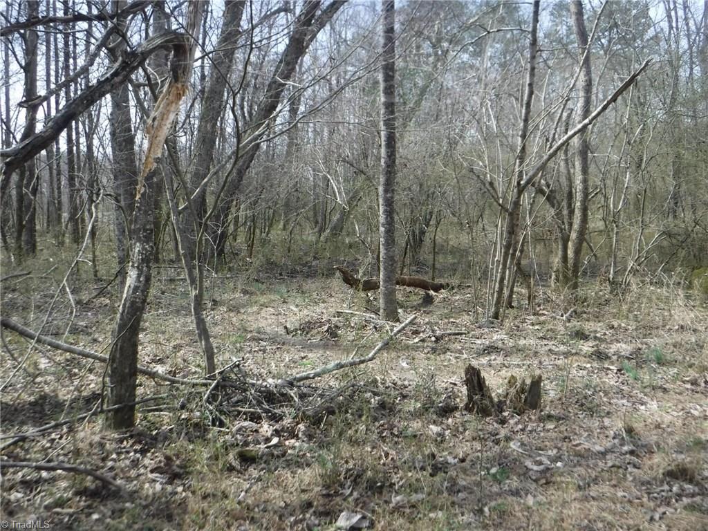 1226 Wilson Road Pilot Mountain, NC 27041 - Photo 10 of 14 Gallery Image 10