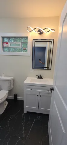 a bathroom with a sink toilet and mirror