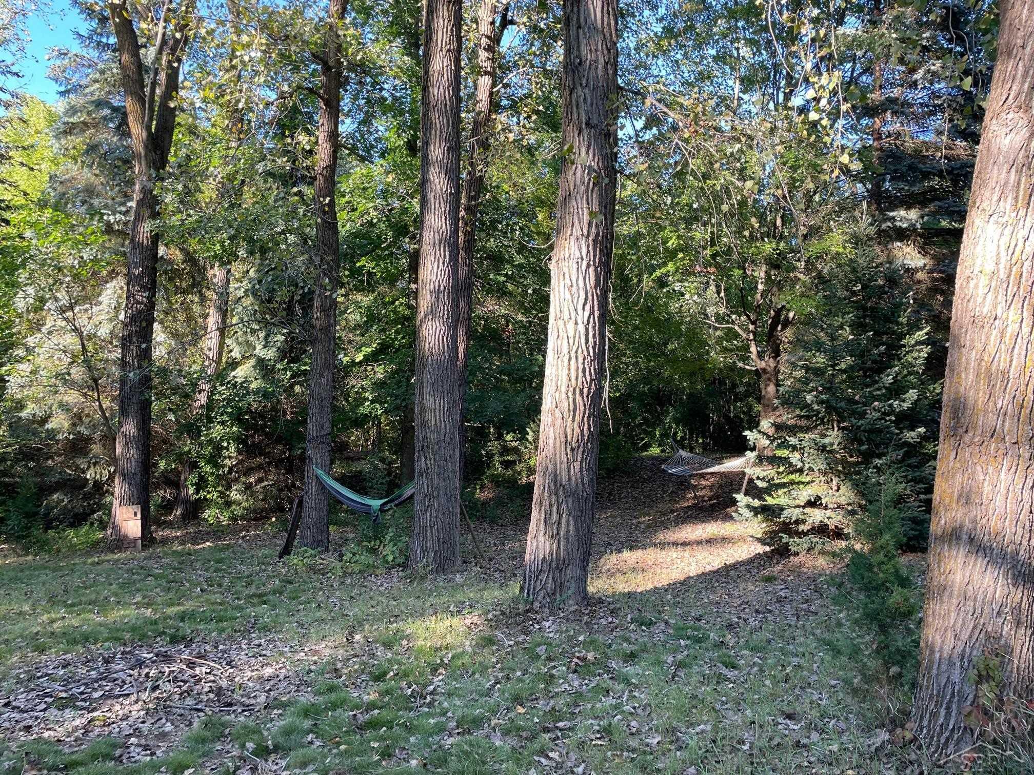 5757 Washburn Road Vassar, MI 48768 - Photo 28 of 28 50091983-27.JPG