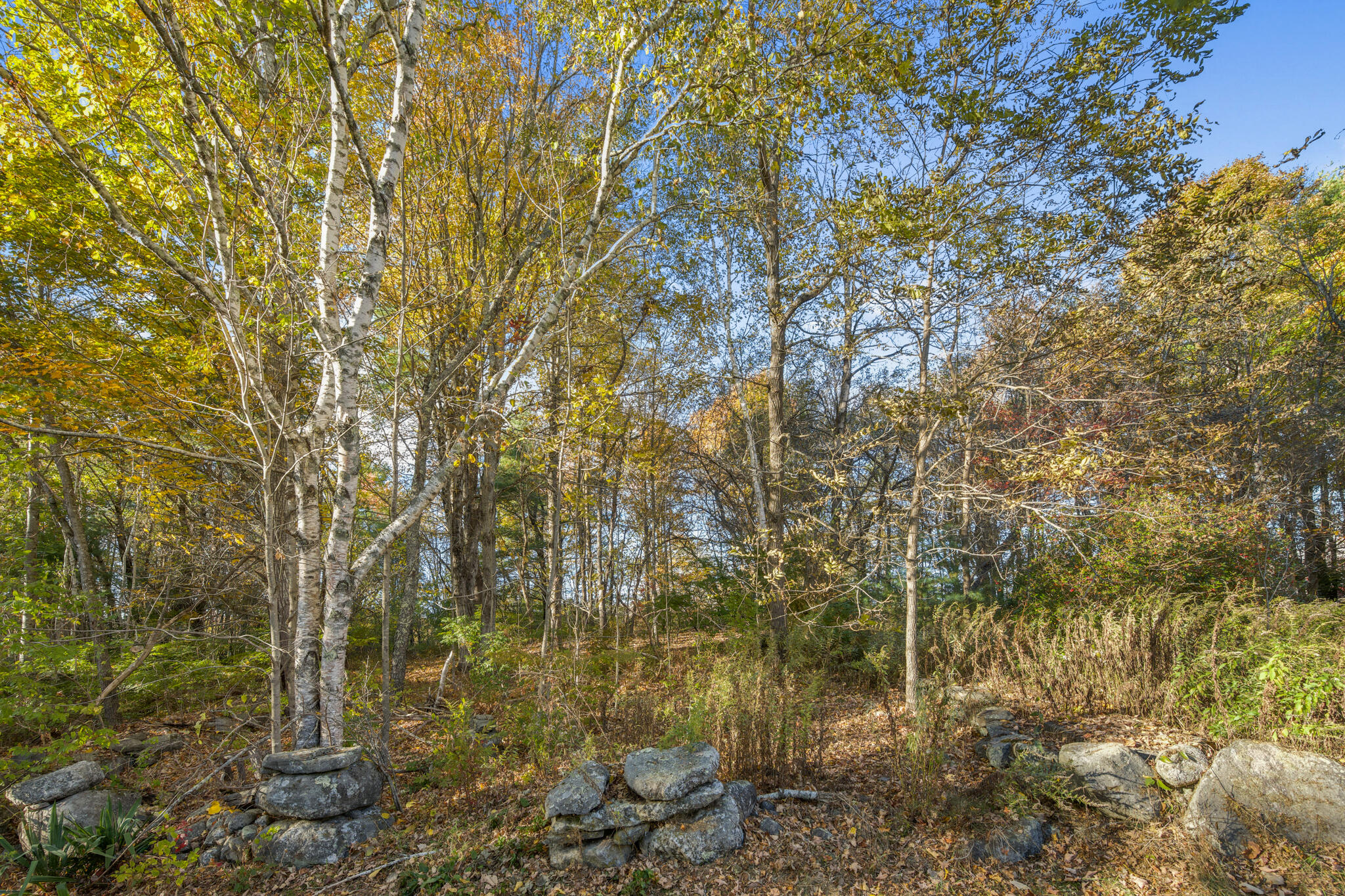 290 Back Meadow Road Damariscotta, ME 04543 - Photo 39 of 41 DSC_3441