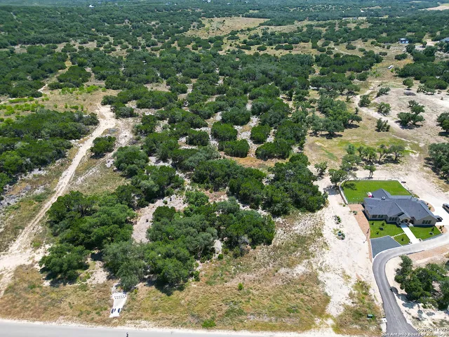 an aerial view of residential houses with outdoor space and trees