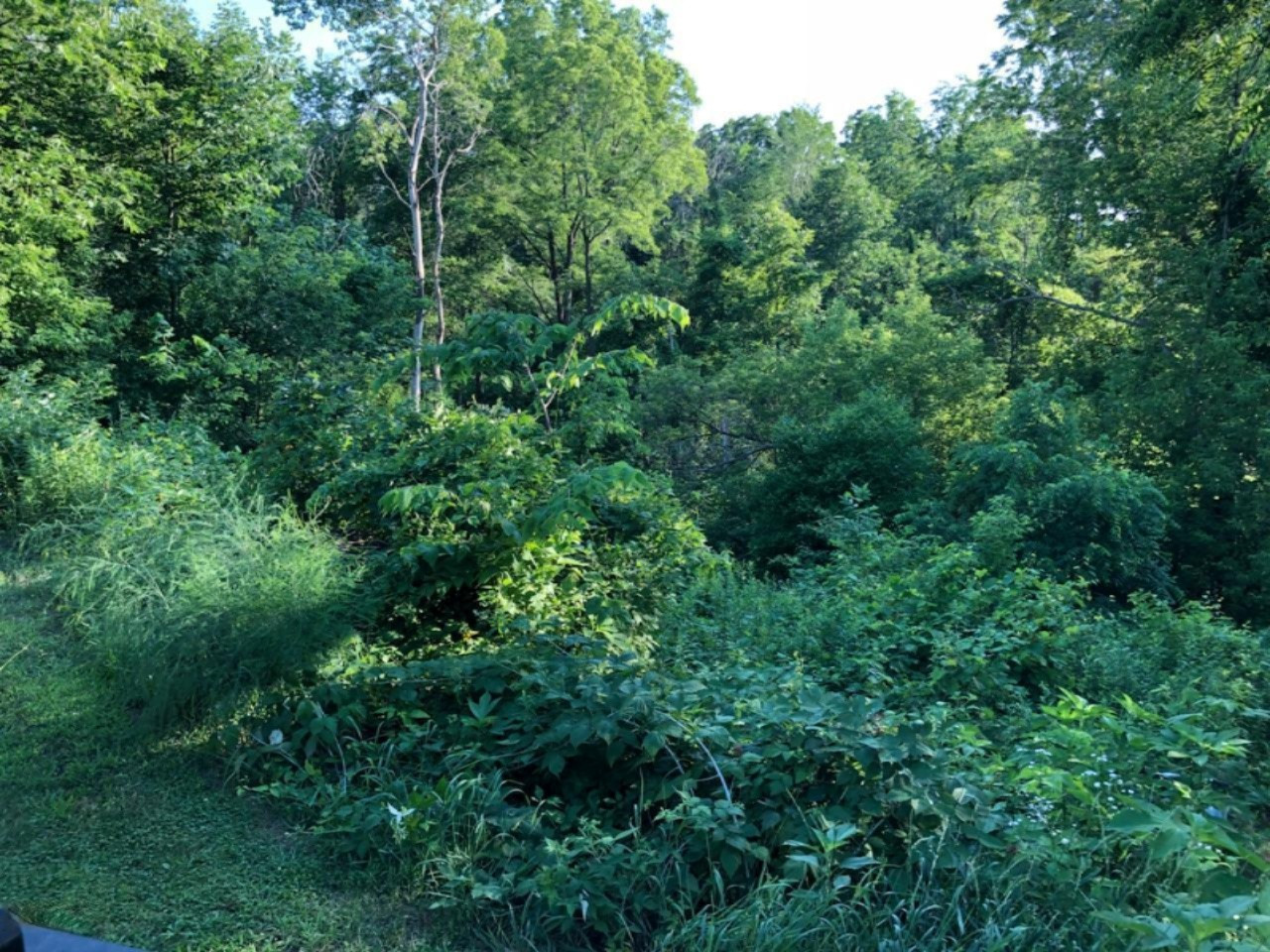 2506 South Lyons Road Lyons, MI 48851 - Photo 20 of 22 104657