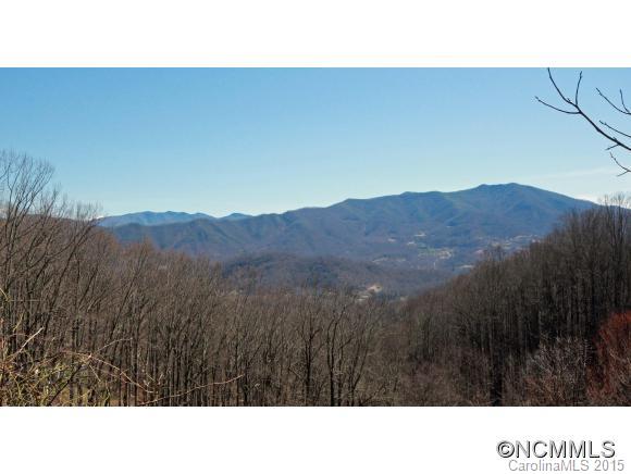 0 Plott Mountain Road Waynesville, NC 28786 - Photo 1 of 10
