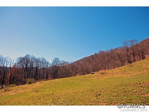 0 Plott Mountain Road Waynesville, NC 28786 - Photo 3 of 10