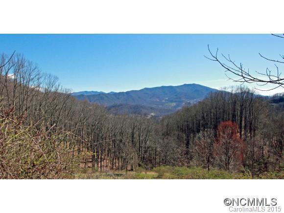 0 Plott Mountain Road Waynesville, NC 28786 - Photo 4 of 10