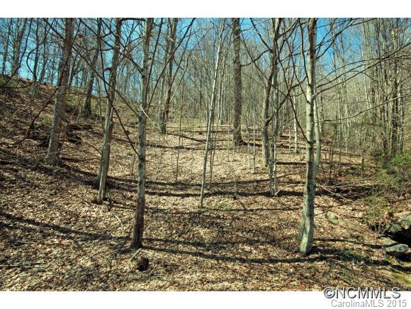 0 Plott Mountain Road Waynesville, NC 28786 - Photo 5 of 10