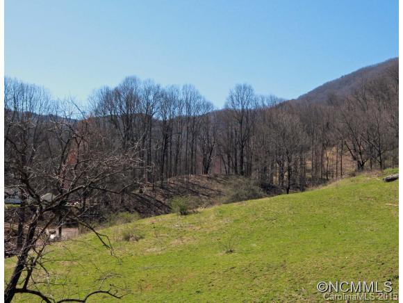 0 Plott Mountain Road Waynesville, NC 28786 - Photo 7 of 10