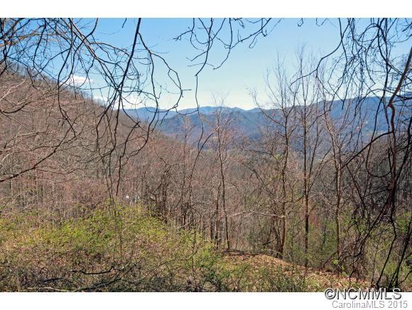 0 Plott Mountain Road Waynesville, NC 28786 - Photo 8 of 10