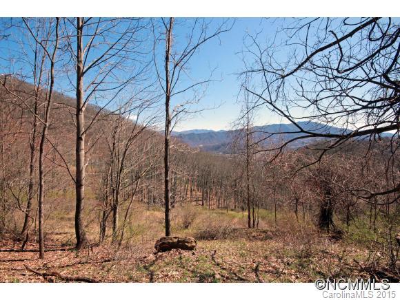 0 Plott Mountain Road Waynesville, NC 28786 - Photo 9 of 10