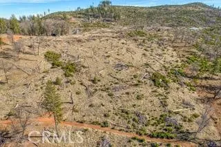 a view of a field with trees in the background