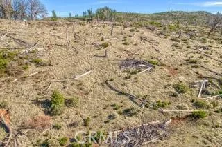 a view of a dry yard with wooden fence
