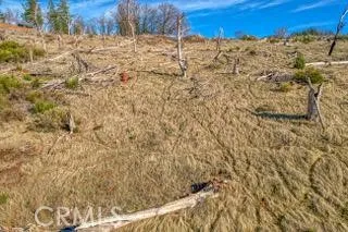 a view of a yard covered with snow