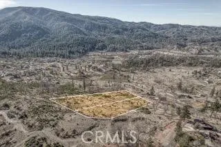 a view of a dry yard
