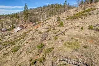 a view of a dry yard with green space