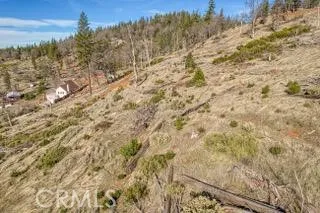 a view of a field with trees in the background