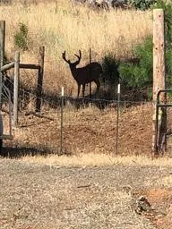a view of a lake view