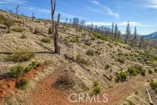 a view of open space with yard