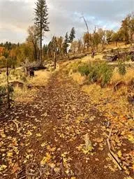 $169,000 | 15000 Myers Way, Cobb, CA 95426