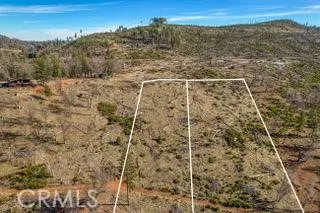 a view of a dry yard