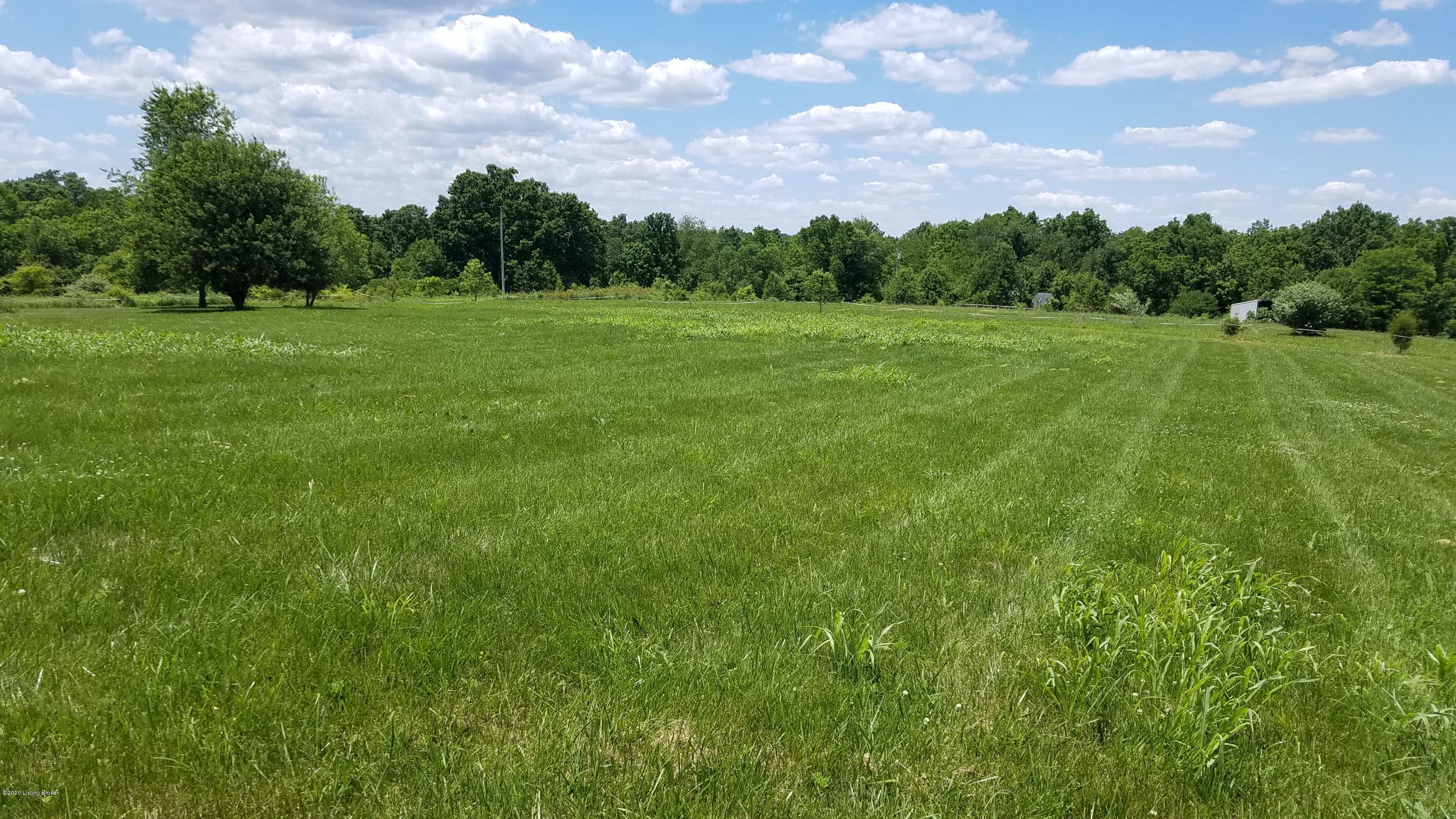 656 New Cut Road Campbellsburg, KY 40011 - Photo 2 of 6 20200612_134916