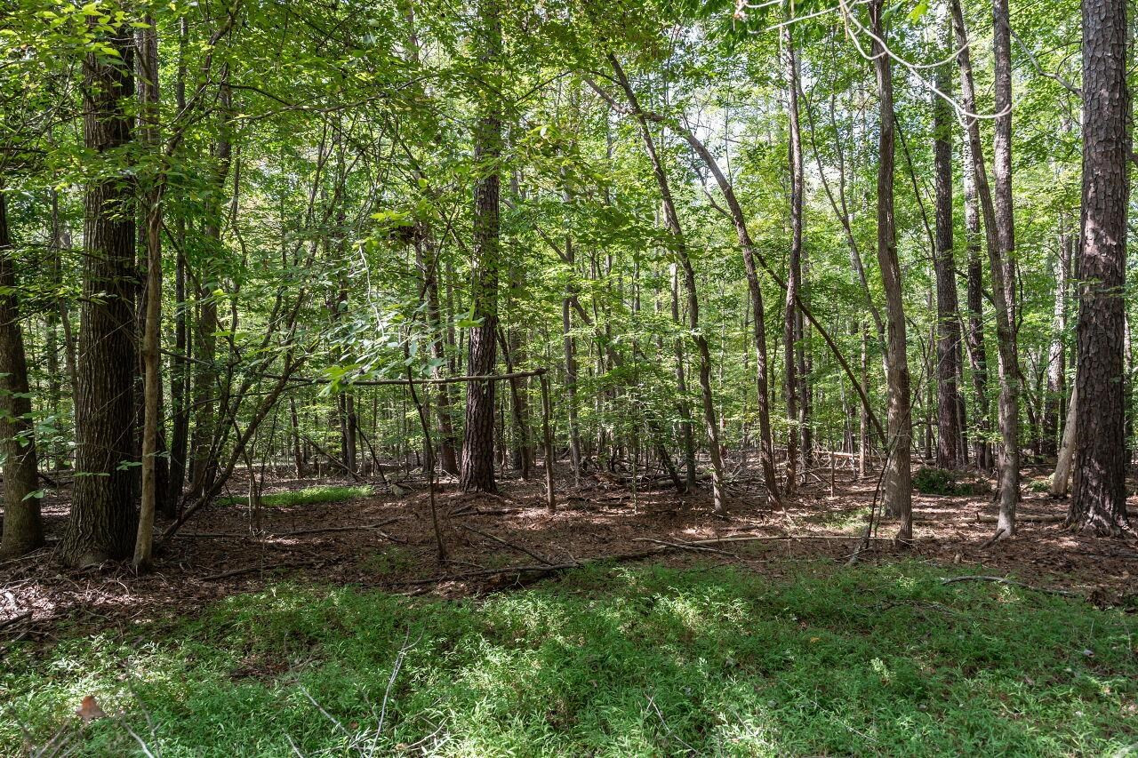 1509 Brightwater Court Raleigh, NC 27614 - Photo 36 of 41 ...takes you to Falls Lake